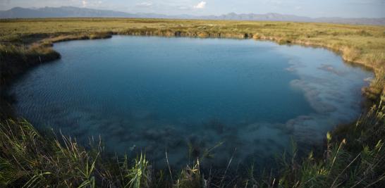 Cuatro Ciénegas ha perdido más del 70% de los cuerpos de agua en las últimas cuatro décadas por un mal manejo de ese recurso. Por ello, la organización civil Pronatura Noreste solicitó a la Comisión Nacional del Agua cancelar de inmediato los canales en desuso que drenan los humedales y desvían el agua de sus cauces naturales del valle Cuatro Ciénegas, en Coahuila. Esta acción contribuiría a evitar la pérdida de los humedales y la extinción de especies endémicas.