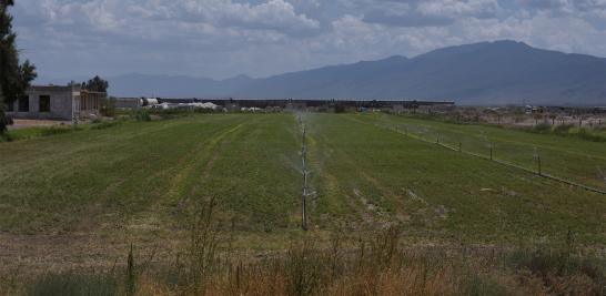 Organizaciones ambientales e integrantes de la comunidad científica han advertido sobre el agudo problema de desecación que enfrenta el valle de Cuatro Ciénegas; se afirma que ha perdido más del 70% de sus cuerpos de agua en las últimas cuatro décadas.