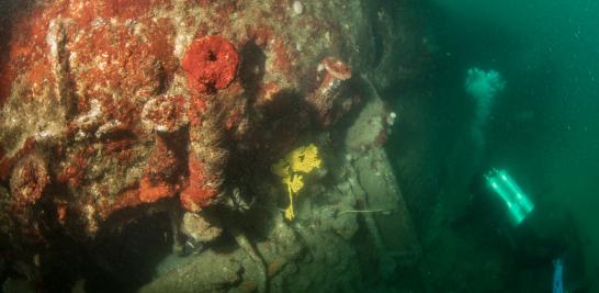 Arqueólogos subacuáticos del INAH registraron, a 15 metros de profundidad, el único submarino histórico hallado en aguas nacionales. Foto EE: Cortesía INAH