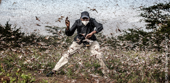 Foto EE: Cortesía World Press Photo / Luis Tato