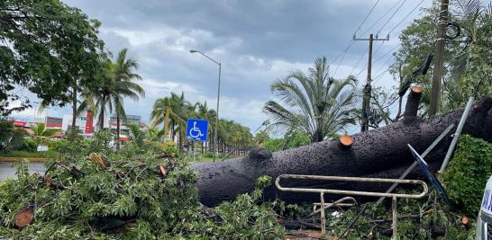 Nora pasó por las costas de Nayarit y provocó la caída de árboles y deslaves. Foto Reuters