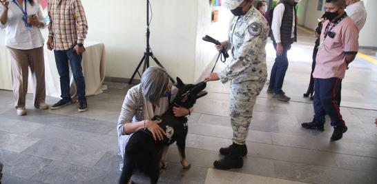 Las actividades que integran esta exposición buscan enseñar a los visitantes cuáles son las tareas más importantes para cuidar a los animales de compañía. Foto EE: Eric Lugo