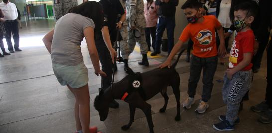 Entre Ladridos y Maullidos cuenta con seis experiencias y un reto donde, jugando, los menores podrán conocer a detalle la responsabilidad que conlleva tener un perro o un gato. Foto EE: Eric Lugo