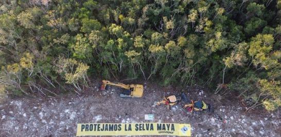 Fotos: Greenpeace.