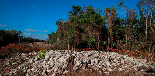 Foto: Cortesía.