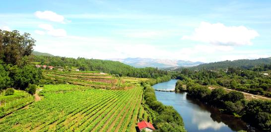 La influencia marítima, la existencia de los ríos Miño, Duero, los afluentes y la “ondulación” de la tierra, determinan diferentes microclimas que embellecen el sabor de los vinos. Foto: Cortesía