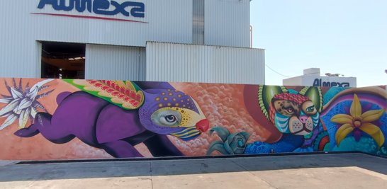 El mural de Riesk puede apreciarse en Palmas 292, Ciudad Industrial, Veracruz, Veracruz. Foto EE: Cortesía.