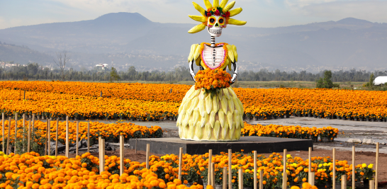 Artesanía y cultura se entrelazan en la Apertura de Venta de la Flor de Cempasúchil. Foto EE: Eric Lugo