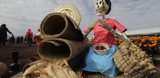 La tradición del Día de Muertos cobra vida con la cosecha de cempasúchil.  Foto EE: Eric Lugo