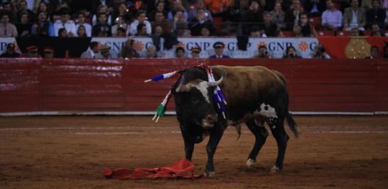 El matador Juan Pablo Sánchez en su participación en la Plaza México