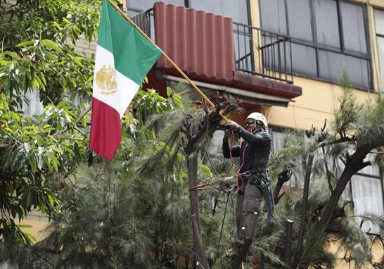 Palas, picos, cascos, botas y guantes de carnaza ocupa cada miembro que conforma al cuerpo de brigadistas en el multifamiliar de Tlalpan y Taxqueña.