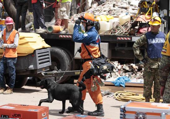 Palas, picos, cascos, botas y guantes de carnaza ocupa cada miembro que conforma al cuerpo de brigadistas en el multifamiliar de Tlalpan y Taxqueña.