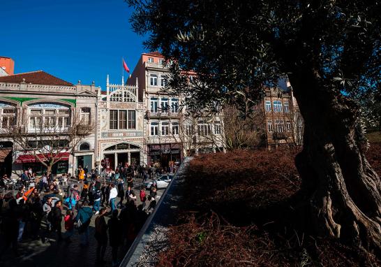 Esta librería de fachada blanca neogótica con su famosa marca "Lello&Irmao", considerada como el "templo de la literatura" con un fondo de más de 60,000 libros, ha visto pasar por ahí a los más grandes escritores portugueses.