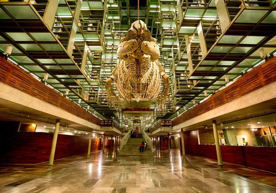 Así es la Biblioteca José Vasconcelos, edificio proyectado por el arquitecto mexicano Alberto Kalac, fue abierta al público en el 2006 y es hasta el 2013 que se convirtió en un espacio vivo, con un constante flujo de actividades y usuarios de diversos grupos sociales. Es el cuarto recinto cultural con más visitantes en México. Entre sus diversas esculturas, la más llamativa y emblemática es Mátrix Móvil, de Gabriel Orozco, ubicada al centro de la planta principal.