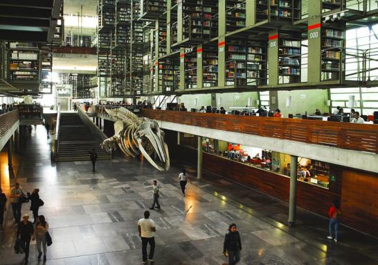 Así es la Biblioteca José Vasconcelos, edificio proyectado por el arquitecto mexicano Alberto Kalac, fue abierta al público en el 2006 y es hasta el 2013 que se convirtió en un espacio vivo, con un constante flujo de actividades y usuarios de diversos grupos sociales. Es el cuarto recinto cultural con más visitantes en México. Entre sus diversas esculturas, la más llamativa y emblemática es Mátrix Móvil, de Gabriel Orozco, ubicada al centro de la planta principal.