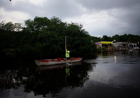 El presidente Andrés Manuel López Obrador informó que en marzo de 2019 arrancaría la licitación para construir la nueva refinería al lado del puerto de Dos Bocas, Tabasco. La construcción de la refinería podría ser un riesgo debido a la biodiversidad que alberga. La tierra es tan rica en vida silvestre que hace una década un grupo de funcionarios en Pemex propusieron que se declarara reserva privada por su importancia ambiental en la zona.