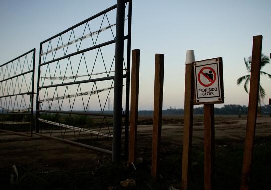 El presidente Andrés Manuel López Obrador informó que en marzo de 2019 arrancaría la licitación para construir la nueva refinería al lado del puerto de Dos Bocas, Tabasco. La construcción de la refinería podría ser un riesgo debido a la biodiversidad que alberga. La tierra es tan rica en vida silvestre que hace una década un grupo de funcionarios en Pemex propusieron que se declarara reserva privada por su importancia ambiental en la zona.