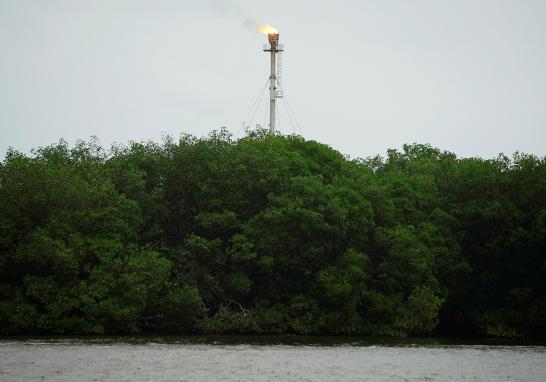 El presidente Andrés Manuel López Obrador informó que en marzo de 2019 arrancaría la licitación para construir la nueva refinería al lado del puerto de Dos Bocas, Tabasco. La construcción de la refinería podría ser un riesgo debido a la biodiversidad que alberga. La tierra es tan rica en vida silvestre que hace una década un grupo de funcionarios en Pemex propusieron que se declarara reserva privada por su importancia ambiental en la zona.