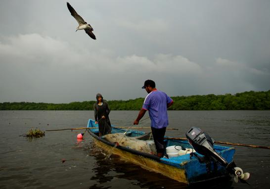 El presidente Andrés Manuel López Obrador informó que en marzo de 2019 arrancaría la licitación para construir la nueva refinería al lado del puerto de Dos Bocas, Tabasco. La construcción de la refinería podría ser un riesgo debido a la biodiversidad que alberga. La tierra es tan rica en vida silvestre que hace una década un grupo de funcionarios en Pemex propusieron que se declarara reserva privada por su importancia ambiental en la zona.