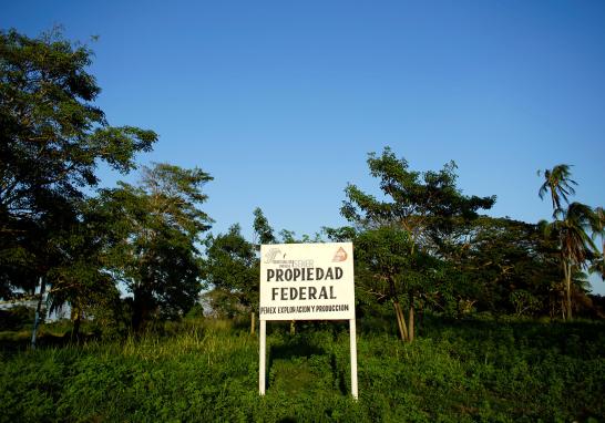 El presidente Andrés Manuel López Obrador informó que en marzo de 2019 arrancaría la licitación para construir la nueva refinería al lado del puerto de Dos Bocas, Tabasco. La construcción de la refinería podría ser un riesgo debido a la biodiversidad que alberga. La tierra es tan rica en vida silvestre que hace una década un grupo de funcionarios en Pemex propusieron que se declarara reserva privada por su importancia ambiental en la zona.