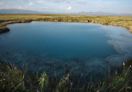 Cuatro Ciénegas ha perdido más del 70% de los cuerpos de agua en las últimas cuatro décadas por un mal manejo de ese recurso. Por ello, la organización civil Pronatura Noreste solicitó a la Comisión Nacional del Agua cancelar de inmediato los canales en desuso que drenan los humedales y desvían el agua de sus cauces naturales del valle Cuatro Ciénegas, en Coahuila. Esta acción contribuiría a evitar la pérdida de los humedales y la extinción de especies endémicas.