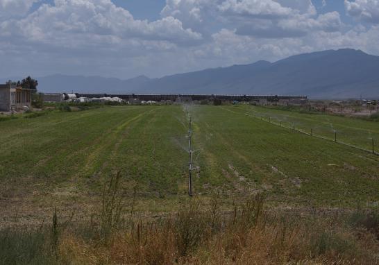 Organizaciones ambientales e integrantes de la comunidad científica han advertido sobre el agudo problema de desecación que enfrenta el valle de Cuatro Ciénegas; se afirma que ha perdido más del 70% de sus cuerpos de agua en las últimas cuatro décadas.