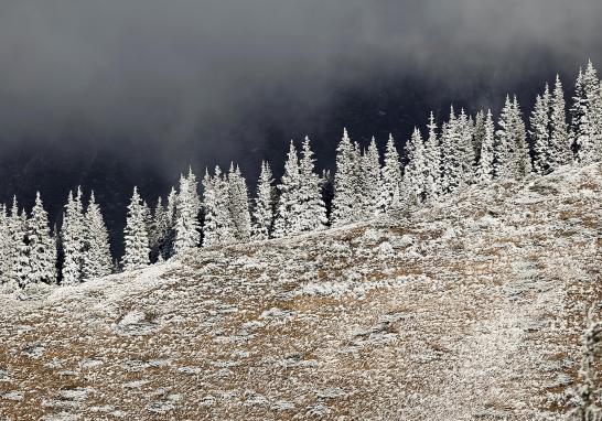 El Covid-19 puede resultar en una reducción temporal en las emisiones de gases de efecto invernadero, pero no es un sustituto de una acción climática sostenida”, dijo la OMM en un comunicado por el Día de la Tierra.