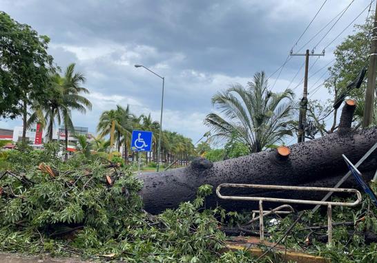 Nora pasó por las costas de Nayarit y provocó la caída de árboles y deslaves. Foto Reuters