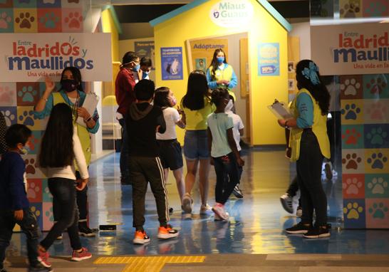 Papalote Museo del Niño inauguró la exposición temporal Entre Ladridos y Maullidos que busca sensibilizar a chicos y grandes sobre la adopción responsable de mascotas. Foto EE: Eric Lugo