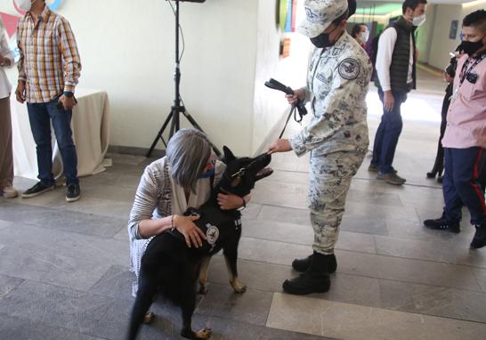 Las actividades que integran esta exposición buscan enseñar a los visitantes cuáles son las tareas más importantes para cuidar a los animales de compañía. Foto EE: Eric Lugo