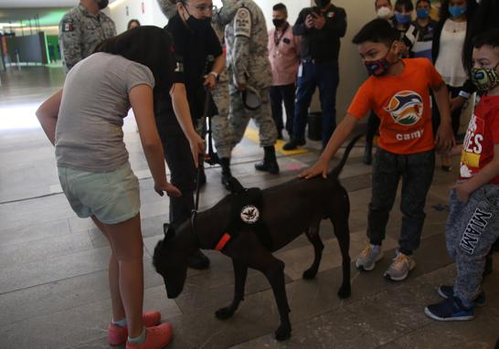 Entre Ladridos y Maullidos cuenta con seis experiencias y un reto donde, jugando, los menores podrán conocer a detalle la responsabilidad que conlleva tener un perro o un gato. Foto EE: Eric Lugo