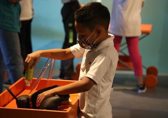 Niñas, niños y adultos podrán jugar al rol de cuidadores de perros y gatos, además de ponerse en cuatro patas para experimentar las habilidades y necesidades de sus mascotas. Foto EE: Eric Lugo