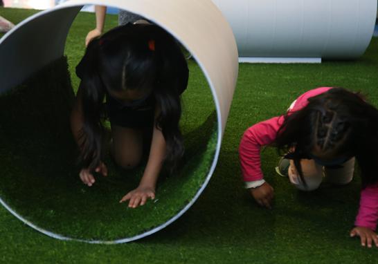 Niñas, niños y adultos podrán jugar al rol de cuidadores de perros y gatos, además de ponerse en cuatro patas para experimentar las habilidades y necesidades de sus mascotas. Foto EE: Eric Lugo