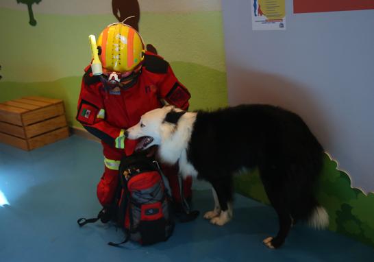 Entre Ladridos y Maullidos busca ayudar a concientizar a las familias sobre la responsabilidad que implica tener un perro o un gato. Foto EE: Eric Lugo