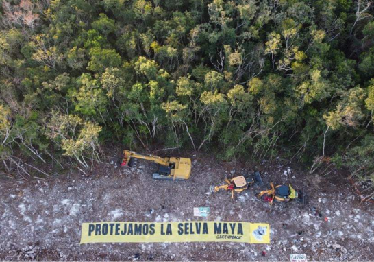 Fotos: Greenpeace.