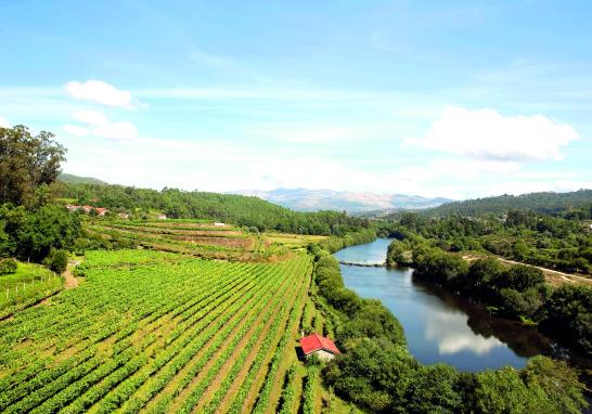 La influencia marítima, la existencia de los ríos Miño, Duero, los afluentes y la “ondulación” de la tierra, determinan diferentes microclimas que embellecen el sabor de los vinos. Foto: Cortesía