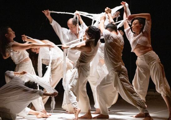 Pieza coreográfica Micelio. Foto EE: Cortesía Enrique Gijón MdMar