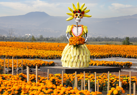 Artesanía y cultura se entrelazan en la Apertura de Venta de la Flor de Cempasúchil. Foto EE: Eric Lugo