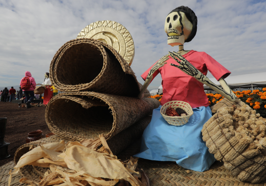 La tradición del Día de Muertos cobra vida con la cosecha de cempasúchil.  Foto EE: Eric Lugo