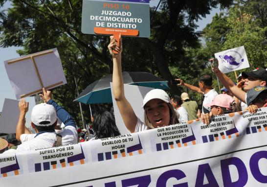 Los trabajadores del Poder Judicial federal buscan frenar la extinción de 13 de 14 fideicomisos judiciales que representan aproximadamente 15,000 millones de pesos, bajo el argumento de que se afectarán sus ingresos y derechos laborales. Foto: Eric Lugo.