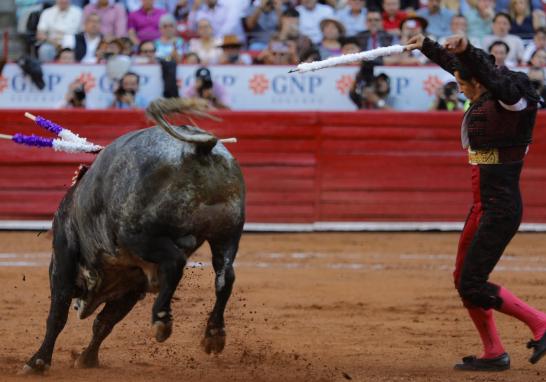 Uriel Moreno “El Zapata” en la Monumental Plaza de Toros México. Foto EE: Eric Lugo