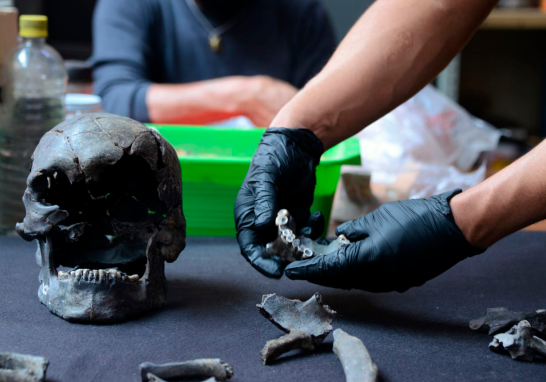 Estudios de antropología física identifican a Yotzin, que podría ser el único hombre precerámico descubierto en Santa Lucía. Foto EE: Cortesía INAH / Mauricio Marat