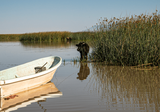 Foto: Cortersía