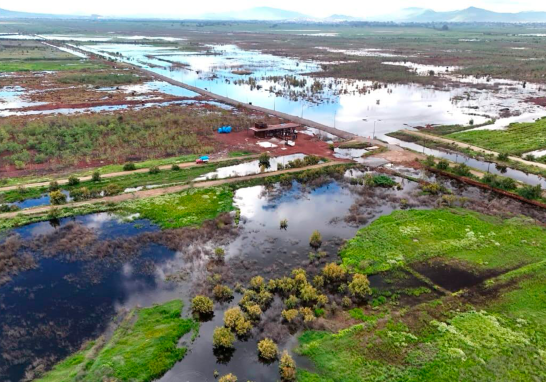 Parque Ecológico Lago de Texcoco. Foto EE: Cortesía / Presidencia de México