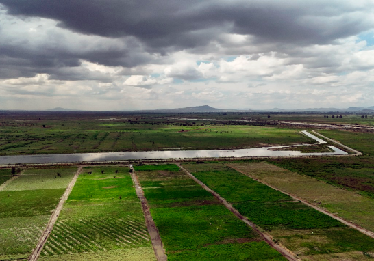 Parque Ecológico Lago de Texcoco. Foto EE: Cortesía / Presidencia de México