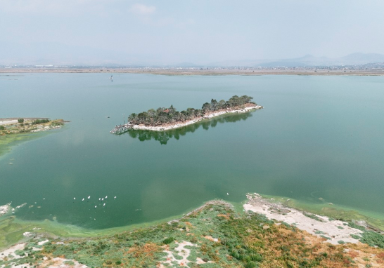 Parque Ecológico Lago de Texcoco. Foto EE: Cortesía / Presidencia de México