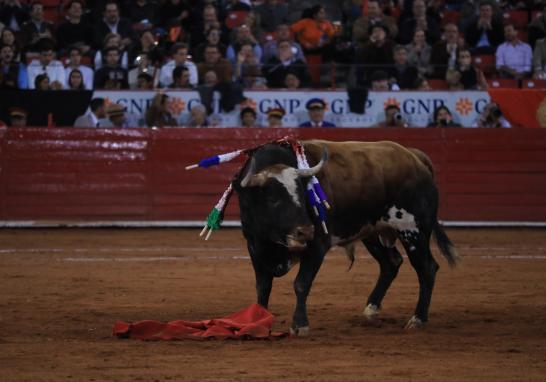 El matador Juan Pablo Sánchez en su participación en la Plaza México