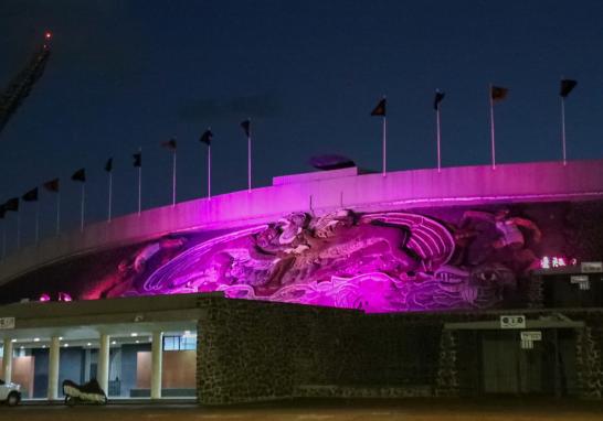 Debido al próximo 8 de marzo, la UNAM iluminó de morado las fachadas de algunos de sus edificios.