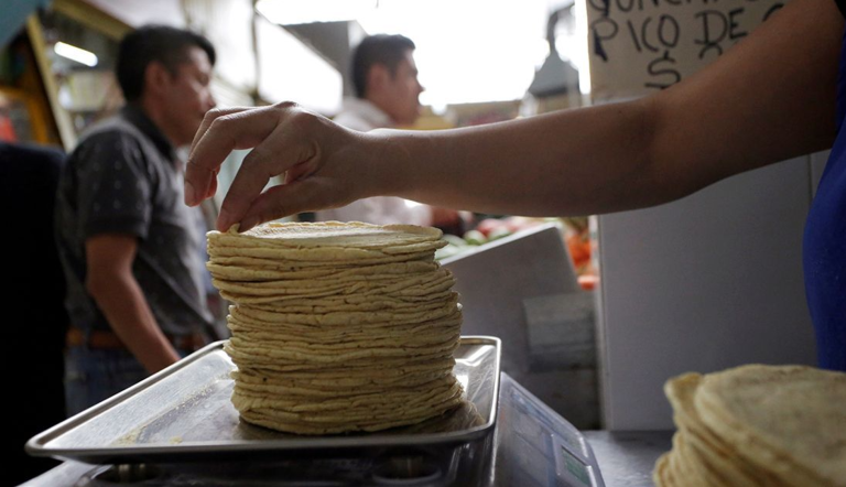 reducción del precio de la tortilla