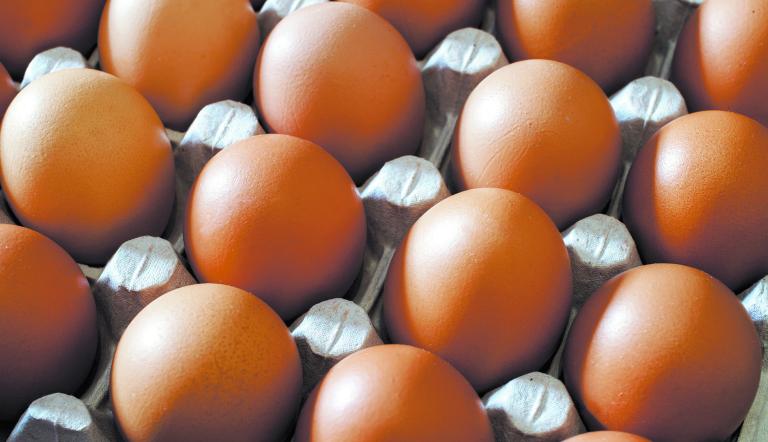 Raw,Fresh,Egg,In,Carton,Container,Closeup.,Low,Shallow,Focus